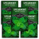 Survival Garden Seeds - 5 Packs Spearmint Seed for Planting - Mentha Spicata with Instructions to Plant Delicious Herbs and Grow Your Home Herb Garden - Non-GMO Heirloom Variety