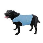 KittyStar Breathable Dog Shirt for 