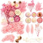 iDattel Natural Dried Flowers, Dry flowers Mixed, DIY Natural Dried Flower Set for Arts Crafts DIY Resin Scrapbooking Craft Card Making (Pink White)