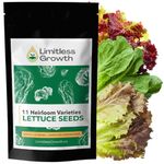 Lettuce Seed Variety Pack - 11 Heirloom Varieties - 11,000+ Seeds! Non-GMO - Romaine, Red Lettuce, Green Lettuce, Iceberg, & More!