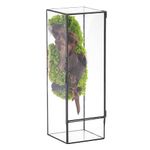 NCYP Closed Glass Terrarium with Door, 10x10x30 cm Rectangular Geometric Planter for Fern, Succulent, Tropical Plants, Indoor Garden Tabletop Decor, Black (Terrarium Only)