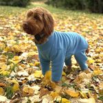 Warm Dog Fleece – Available in Five Sizes & Five Colours (Teal, Medium (Four Legged))