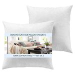 YesterdayHome Set of 2-18x18 Throw Pillow Inserts-Down Feather Pillow Inserts-White