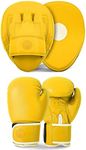 Lions Boxing Pads and Gloves Set - 