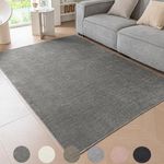 Ceneco Low Pile Rug, Washable Rugs for Living Room - Modern Soft Short Pile Area Rugs for Bedroom Dining Room Carpet for Kitchen Non Slip Non Shedding(Dark Grey, 80×150cm)