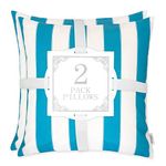 Olivia Stripe Outdoor Pillow - Set of 2