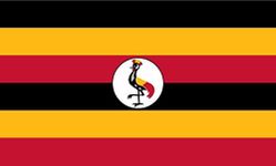 SHATCHI 5ft x 3ft Uganda Ugandan 90 x 150 cm Country National Flags Indoor Outdoor Polyester with Eyelets