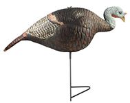 The Grind Hen Decoys | Durable and Lifelike Hen Turkey Decoy | Available in Multiple Postures | Relaxed Feeding Hen