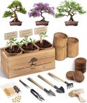 Avergo Bonsai Tree Kit – 3X Unique