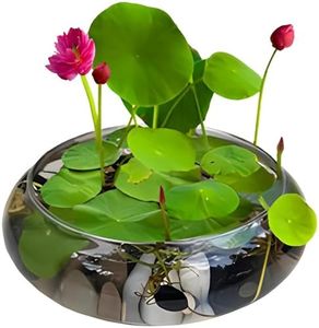 Lotus Bowl