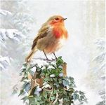 Christmas Cards Pack of 16 - Christmas Robins - Flittered Finish - Eco-Friendly & Recyclable - By Art House