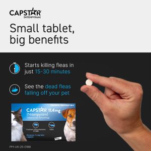 Capstar Flea Tablets for Cats & Small Dogs – Fast-Acting Oral Treatment