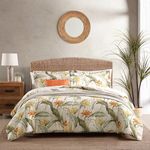 Tommy Bahama - King Comforter Set, Reversible Cotton Bedding with Matching Shams & Bonus Throw Pillows, All Season Home Decor (Birds of Paradise Off-White, King)