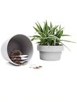 Suck UK Hideaway Plant Pots | Secret Stash With Hidden Storage | Indoor & Outdoor Secret Safe Succulent Plants | Flower Pot Stash Box to Hide Your Key Set or Money | Novelty Plant Storage Safe |