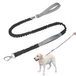 Qpets® Dog Training Leash, Dog Leash Pet Belt with Sponge Handle for Dog, Nylon Bungee Pet Leash for Samll Medium Large Dog (1.25M)