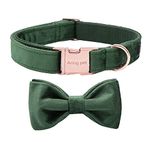 ARING PET Velvet Dog Collar-Christmas Bowtie Dog Collars, Soft&Comfortable Green Velvet Collar with Bow for Small Medium Large and Girl Boy Dogs