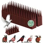 Apluskis Upgraded Bird Spikes, 20 Pack/6M Bird Squirrel Raccoon Pigeon Cat Fox Animal Deterrent Spikes Fence Spikes for Outside Anti Bird Spikes Outdoor to Keep Birds Away (Brown)