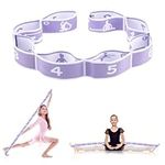 Stretching Strap, Multi-Loop Elastic Yoga Stretch Strap Flexible Stretch Resistance Bands Stretching Equipment for Physical Therapy, Pilates, Yoga, Dance, Gymnastics Exercise (Purple)