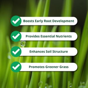 A1 Lawn Pre-Seed & Pre-Turf Fertiliser 10kg – Phosphorus Rich, Professional Grass Feed