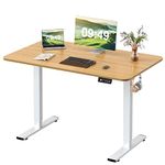 Furmax Electric Height Adjustable Standing Desk Large 48 x 24 Inches Sit Stand up Desk Home Office Computer Desk Memory Preset with T-Shaped Metal Bracket, Wood