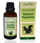 Crystal Opus Squirrel Repellent Spray Makes 12+ litres. Tried & Tested Concentrated Blend. Natural Peppermint, Cinnamon, Chilli and Garlic Essential Oil. Humane & Safe Deterrent. Indoor & Outdoor.
