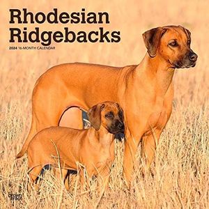 Rhodesian 
