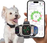 NEW Dog Health Monitor V3.0 by PetPace – AI Smart Collar with 24/7 Vital Signs, Pain & GPS Tracking, Telehealth AskaVet & Share With Your Vet, Smartwatch Sync – Subscription Required (Small)