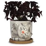 Window Garden Animal Planters - Large Kitty Pot (Barney) Purrfect for Indoor Live House Plants, Succulents, Flowers and Herbs, Super Cute Planter Gift for Cat Lovers, Cat