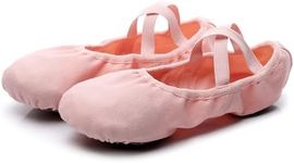 Phineein Toddler/Kid Canvas Pro Stretch Ballet Shoes - Dance Slipper for Kids Yoga Shoes, Pink, 13.5 Big Kid