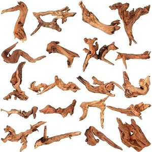 Suzile 20 Pcs Small Natural Coral Driftwood for Aquarium 4-7 Inches Aquarium Driftwood Assorted Shapes Reptile Terrarium Decor Drift Wooden Branch for Fish Tank Fish Aquarium Decoration