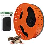 Exotic Nutrition Silent Runner 12" Regular - Durable Exercise Wheel + Cage Attachment Hardware (NO Stand) - for Sugar Gliders, Female Rats, Hamsters, Mice and Other Small Pets