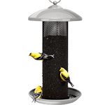 Bird Feeder Finches