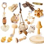 Wepets Hamster Toys, for Hamster, Gerbils, Mice, Rats and Other Small Animals to Chew and Play with, Induce Them to Grind Their Teeth, Reduce Depression. (Pattern-B)