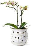 LE TAUCI Ceramic Orchid Pot, 6 Inch