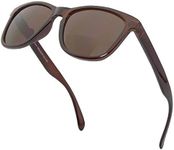 VITENZI Bifocal Sunglasses for Men and Women Retro Reading Sun Tinted Glasses with Readers - Turin in Brown 1.75