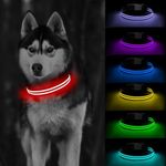 LED Dog Collar, Light Up Dog Collar, Lighted Dog Collar Adjustable for Night Walking, Glow in The Dark Dog Collars Light with USB Rechargeable Color Changing Waterproof for Dogs (Small)