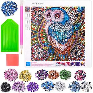 Little Guy Regalos para niñas de 9 10 11 años, Pintura de Diamante 5d por números para niños Adultos de 7 8 9 10 11 12 13 años Kit de Artes búho Dibujos con Diamantes de para niñas y Mujeres Regalo