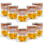 SALYSOL Snacks Nuts - Delightful Blend of Natural Almonds, Hazelnuts, Cashews, Salt Peanuts, Walnuts, Roasted Corn, Honey Peanuts - Ideal for Care Package (10-Pack, Roasted Peanuts)