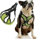 Gooby Comfort X Step in Lite Harness - Green, X-Small - Choke Free and Escape Free Dog Harness with Light Breathable Mesh for Small Dog and Medium Dog