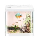 5 Gallon Glass Small Fish Tank,Bett