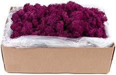 SuperMoss (25139 Reindeer Moss Preserved, Fuchsia, 10lbs