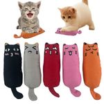 Cdycam 5 Pcs Cat Catnip Toys, Interactive Toy Cat Bite Resistant Chew Toy for Indoor Cats, Kittens Kitty Pillow Toys Soft and Durable,Catnip Filled Cartoon Mice Cat Teething Chew Toy