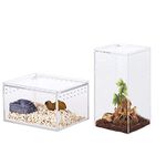 Tarantula Enclosures