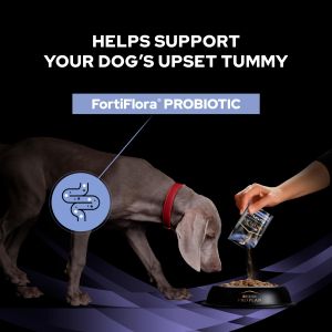 PRO PLAN FortiFlora Dog Probiotic Supplement, 30 x 1g Sachets