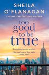 Too Good To Be True: A feel-good read of romance and adventure