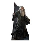 Advanced Graphics Gandalf The Hobbit Lifesize Wall Decor Cardboard Standup Cutout Standee Poster