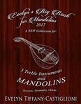 Evelyn's Big Book for Mandolins 2017: A Collection of Tunes for 3 Mandolins