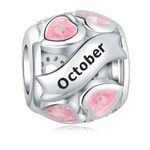 925 Birthstone Charms for Bracelets Sterling Silver Charms, Love Heart Charms for Bracelets, Birthday for Women