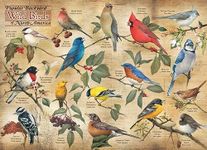 Cobble Hill 1000 Piece Puzzle - Popular Backyard Wild Birds of North America - Sample Poster Included