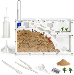 Ant Castle